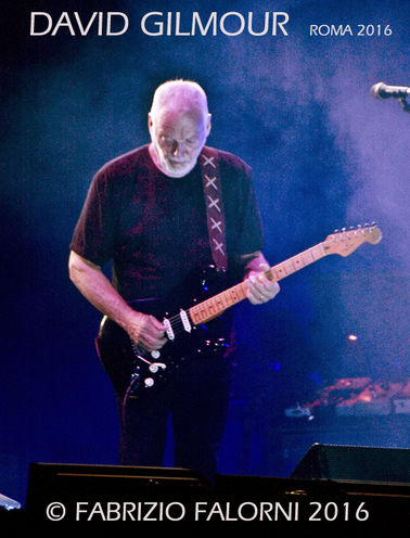 GILMOUR small.jpg